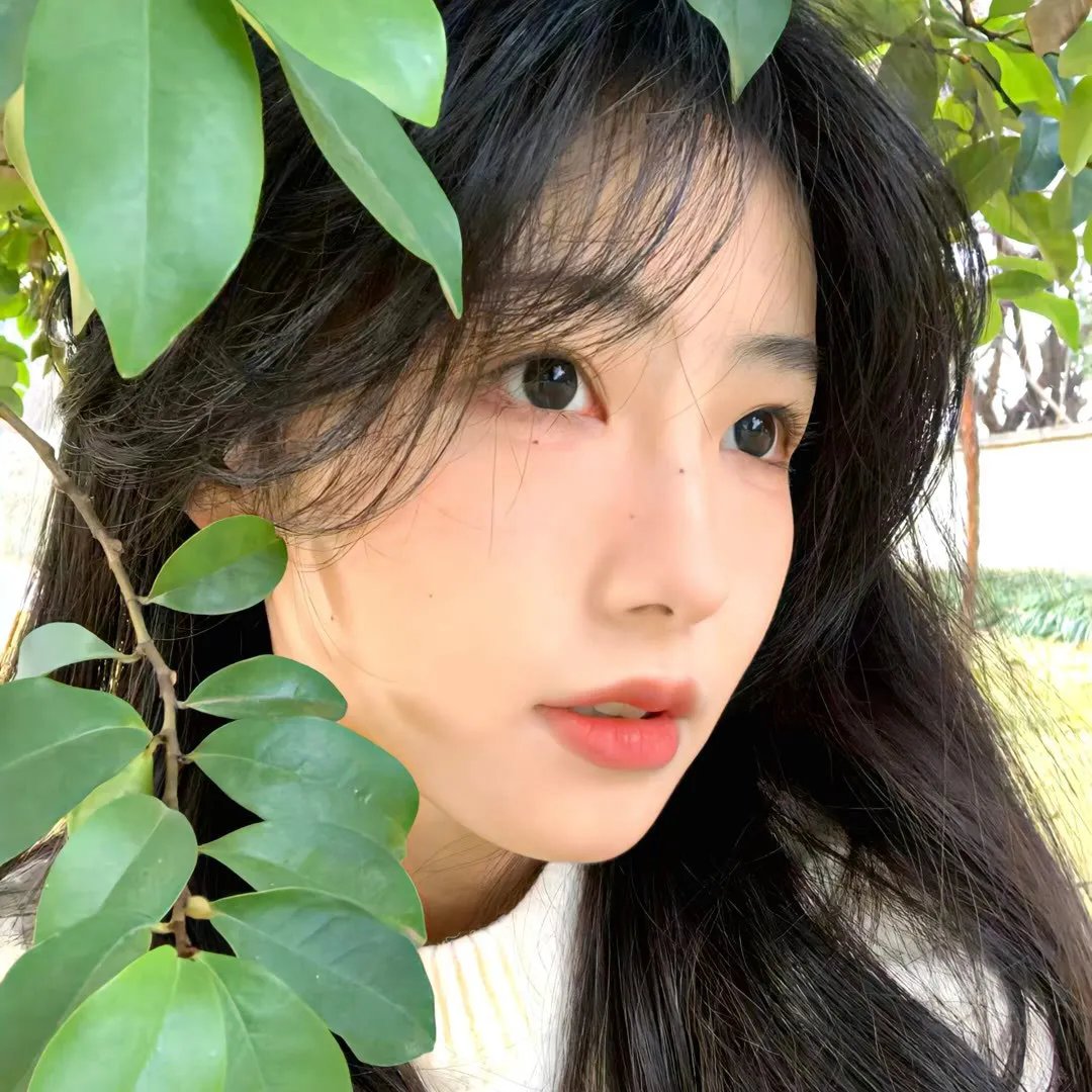 愤怒青年国语